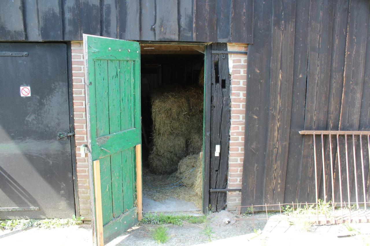 Bed and Breakfast De Distelweide Holsloot Exterior foto